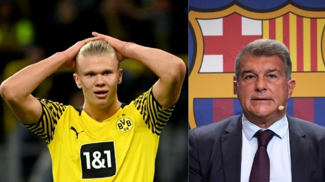 篮球篮网球迷线上互动热烈